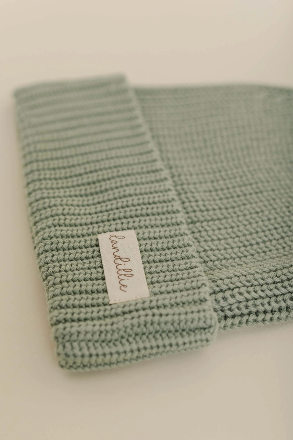 Fern Knit Beanie