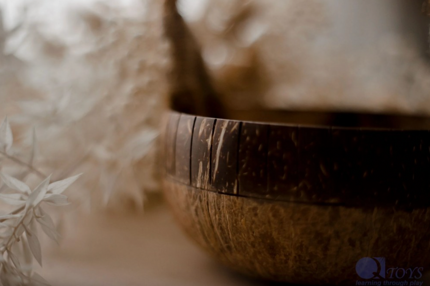 Coconut Basket